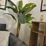 A Minha Casa Na Da Rocha פורטימאו