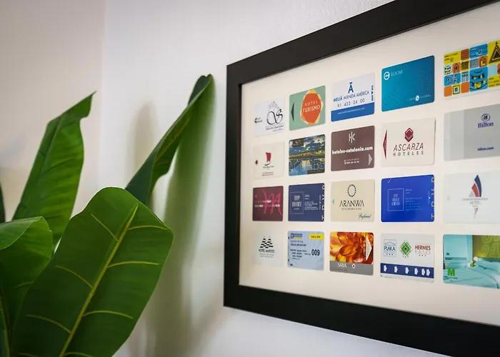 A Minha Casa Na Da Rocha *