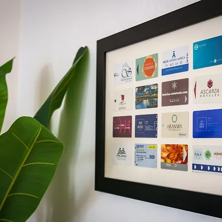 A Minha Casa Na Da Rocha *